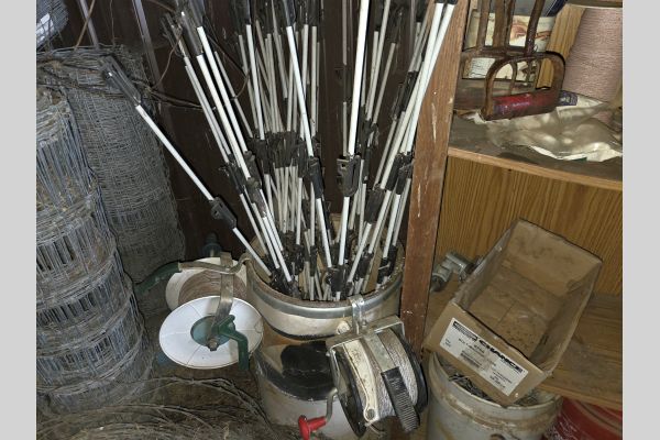 Auction listing photo