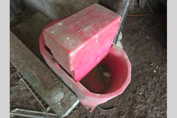 Auction listing photo