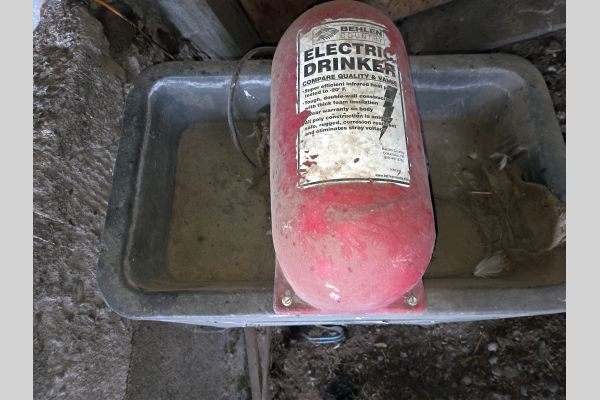 Auction listing photo