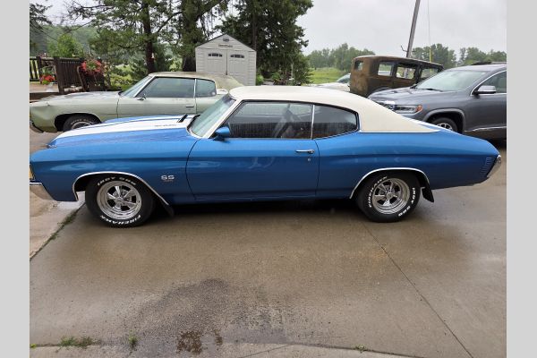 Auction listing photo