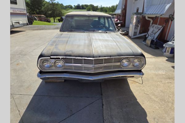 Auction listing photo