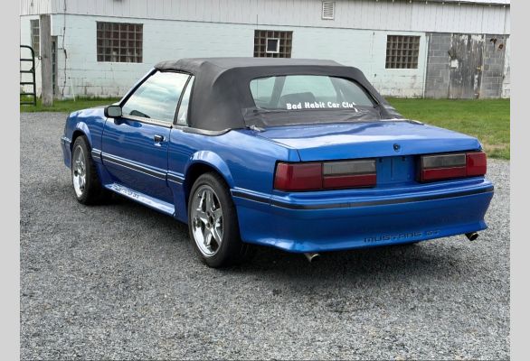 Auction listing photo