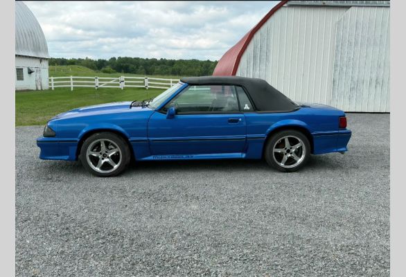 Auction listing photo
