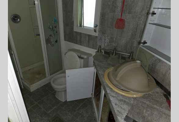 Auction listing photo