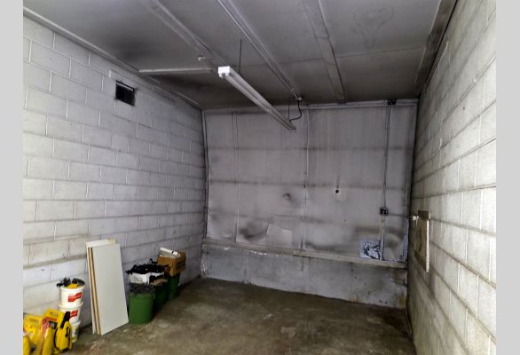 Auction listing photo