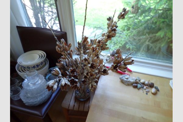 Auction listing photo