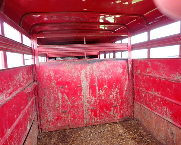 Auction listing photo