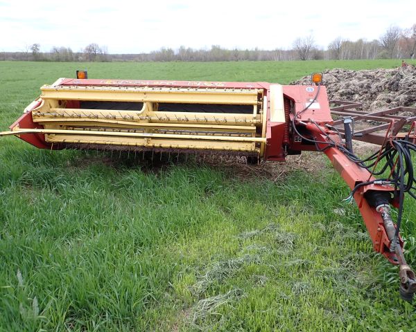 Auction listing photo