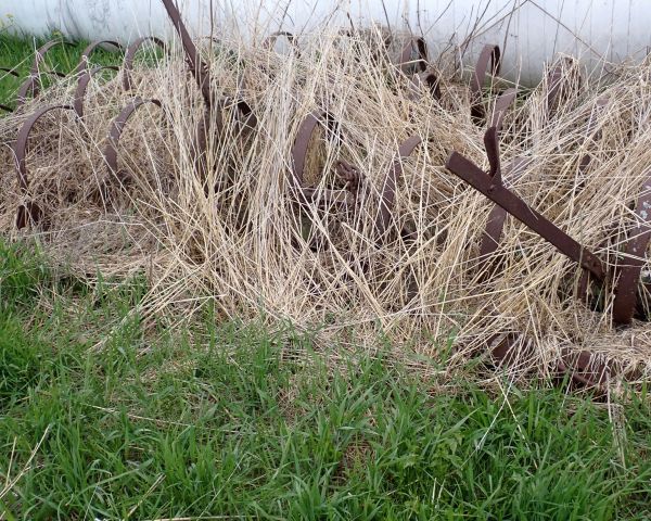 Auction listing photo