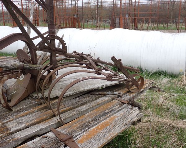 Auction listing photo