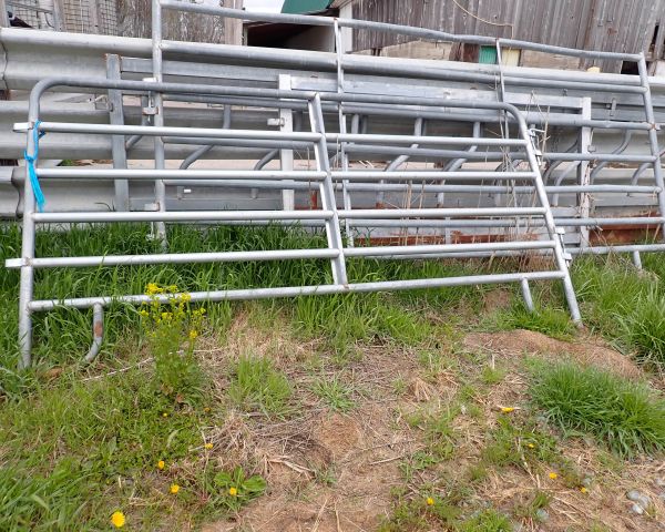 Auction listing photo