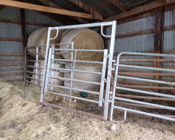 Auction listing photo