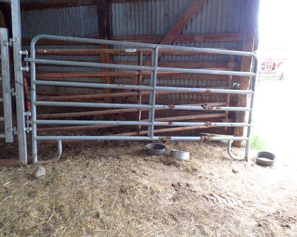 Auction listing photo