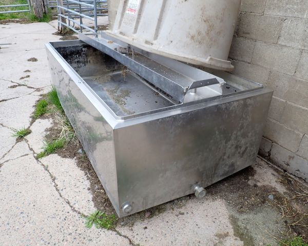 Auction listing photo