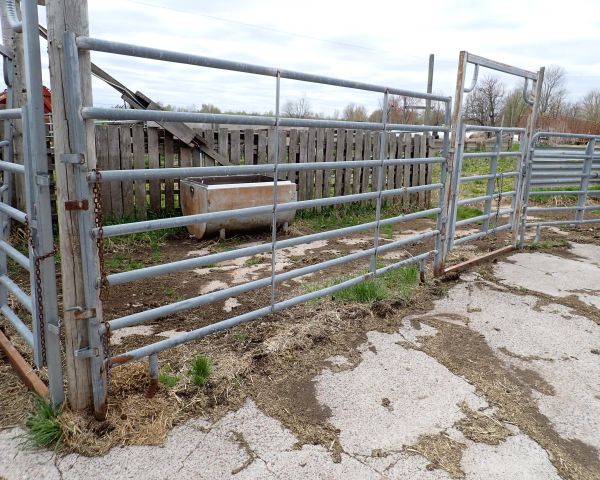 Auction listing photo