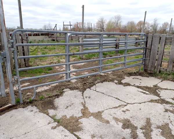 Auction listing photo