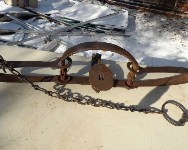 auction image