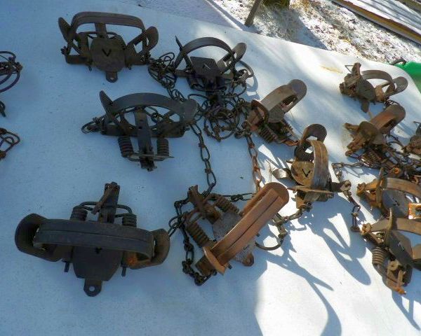 auction image