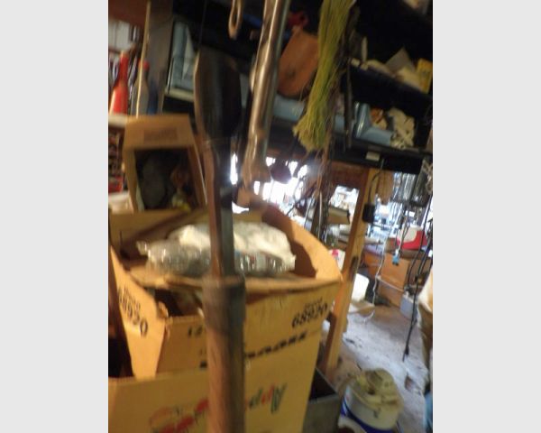 auction image