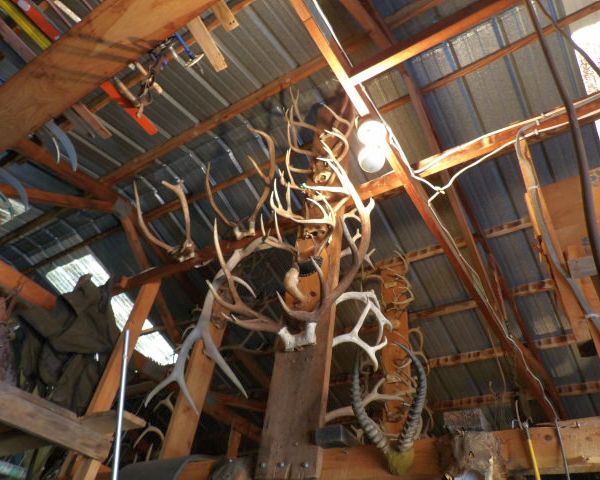 auction image