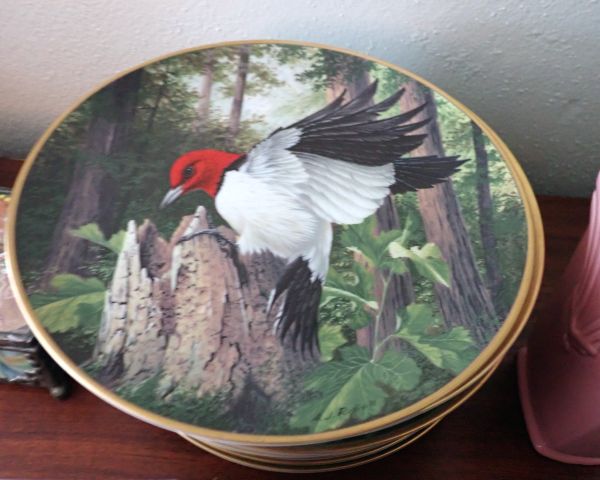 Auction listing photo