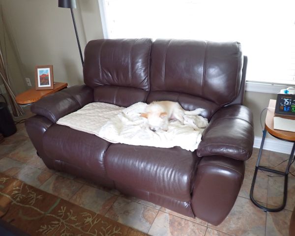 Auction listing photo