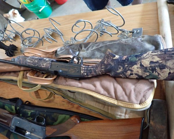 Auction listing photo