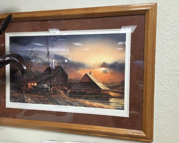 Auction listing photo