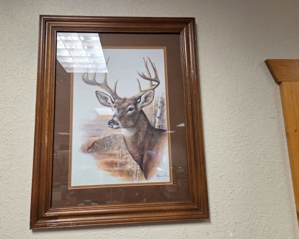 Auction listing photo