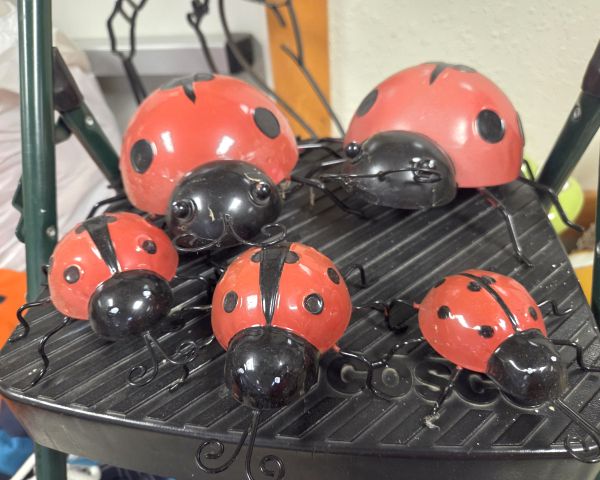 Auction listing photo