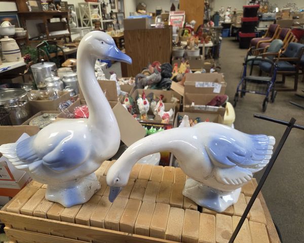 Auction listing photo