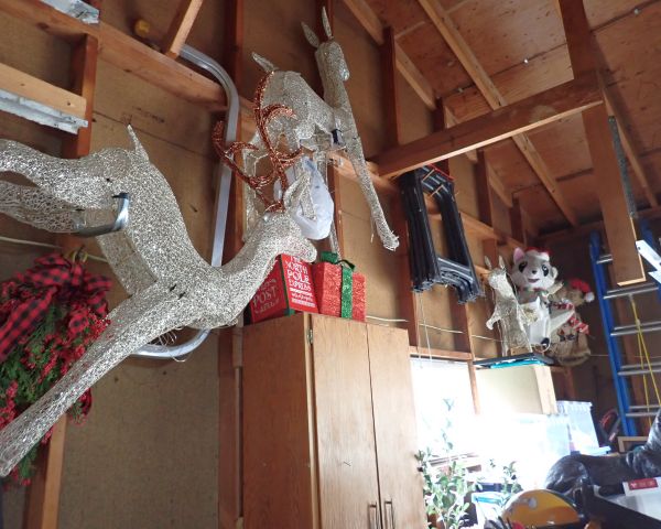 Auction listing photo