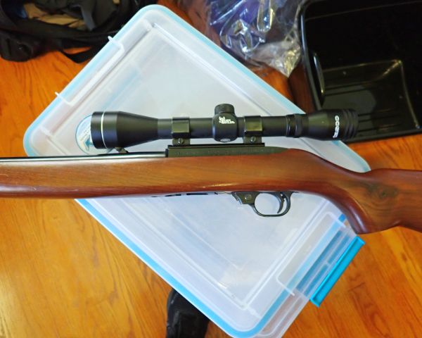 Auction listing photo