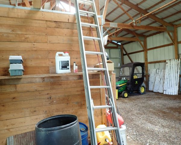 Auction listing photo