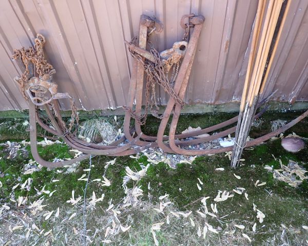 Auction listing photo