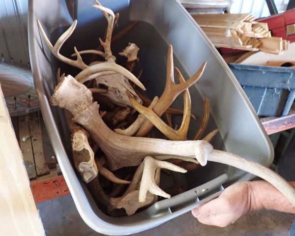 Auction listing photo