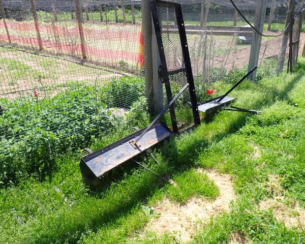 Auction listing photo