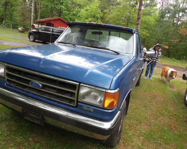 auction image