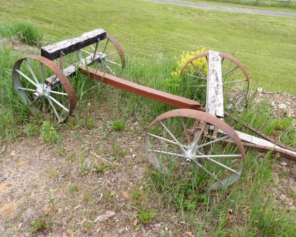 auction image