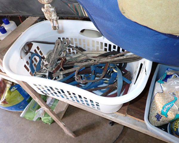 auction image