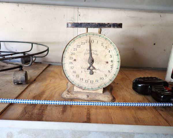 auction image