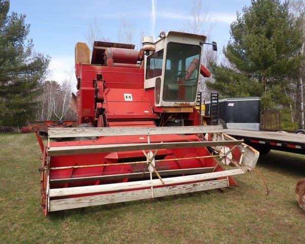 auction image