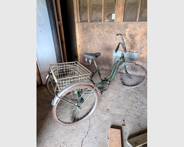auction image