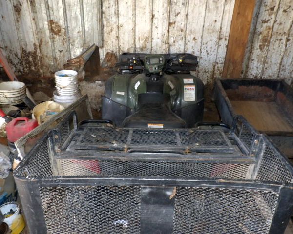 auction image