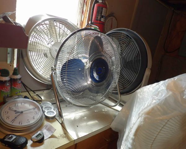 auction image