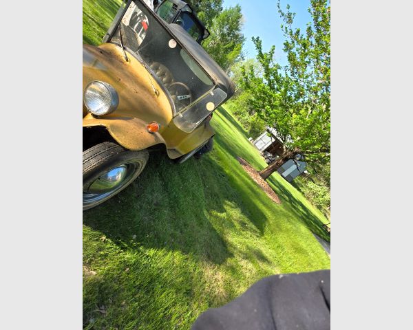 auction image