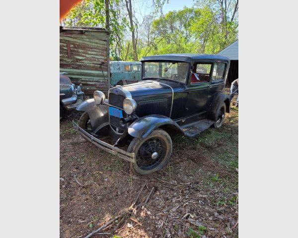 auction image