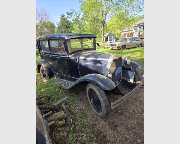 auction image