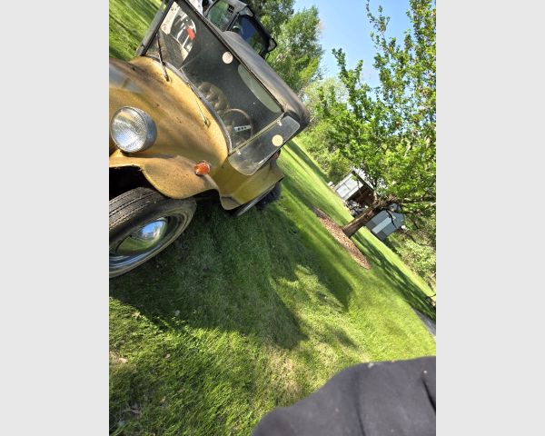 auction image