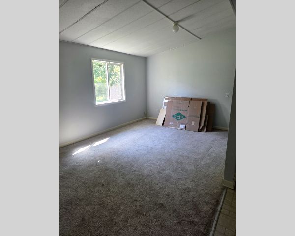 Auction listing photo